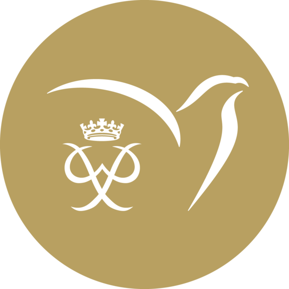 Gouden Sponsorpakket (€5.000)  