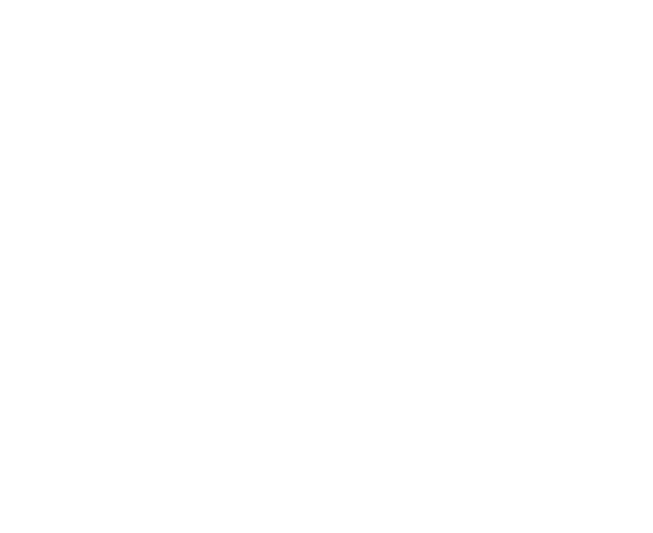 Windseeker