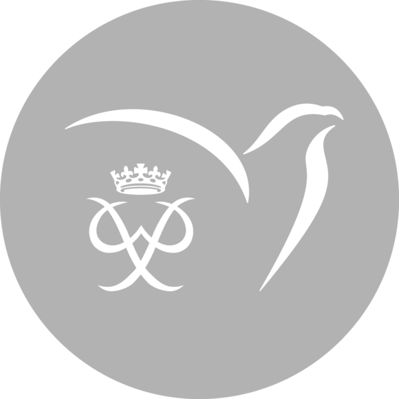 Zilveren Sponsorpakket (€3.000)